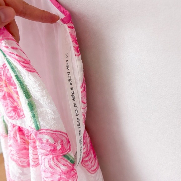 Lilly Pulitzer Darcelle Clover Cup Pink Floral Embroidered Organza Dress Sz 4 - Picture 5 of 9